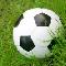 Pallone da calcio