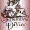 Settembre DiVino a Novara 2006