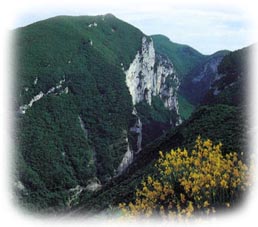 Gola del Furlo