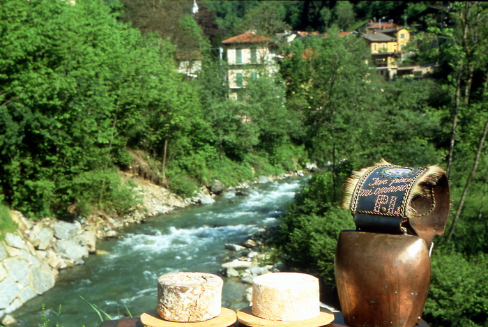 Il formaggio Castelmagno DOP