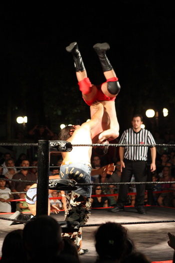 Wrestling