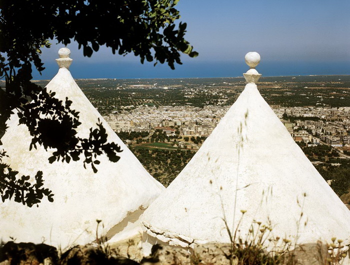 Fasano: panorama dalla selva