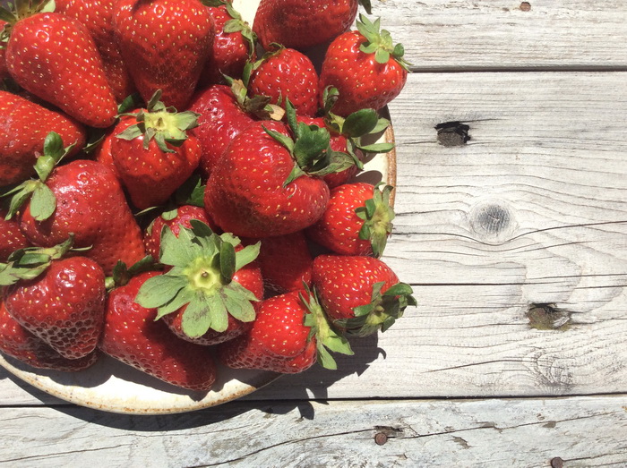 Festa della Fragola di Martello