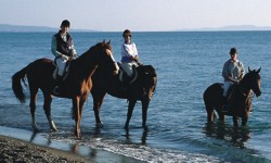 Marina di Castagneto