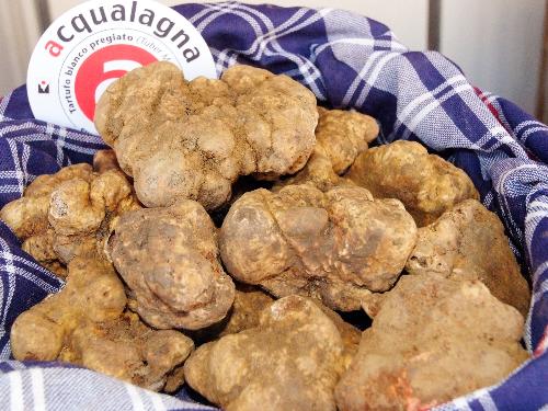 53^ Fiera Nazionale del Tartufo Bianco di Acqualagna