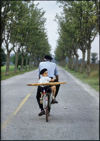 FRANCE. Provence. 1955