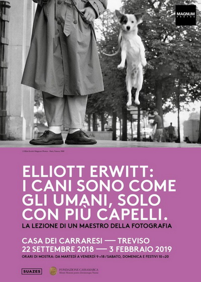 Eliott Erwitt: i cani sono come gli umani, solo con più capelli