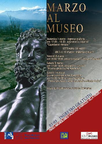 il bosco nel museo