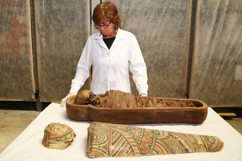 La restauratrice Cinzia Oliva apre il sarcofago ottocentesco