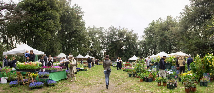 Fiori, saperi e sapori, 2° edizione