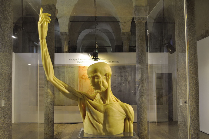 Leonardo da Vinci e Guido da Vigevano - Anatomia in figure