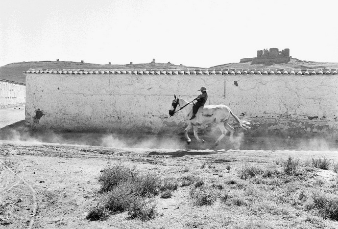 Cavaliere della Mancia, 1956 © Piergiorgio Branzi