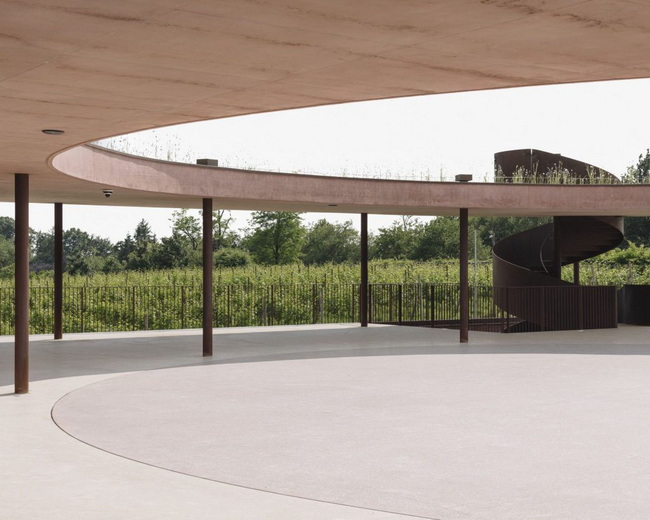 Cantina Vinicola Ceresé - Montevecchia