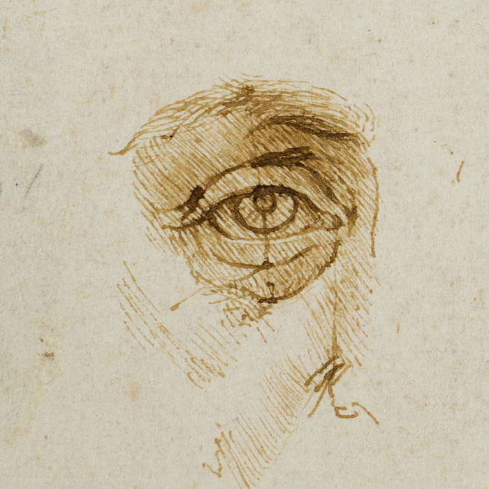 Leonardo da Vinci, Studi di proporzione del volto e dell'occhio, dettaglio, 1489