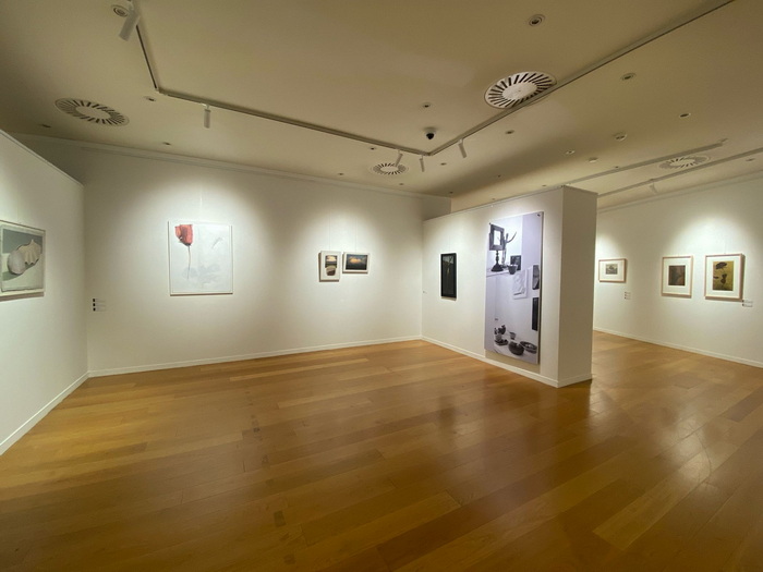 Allestimento mostra Roberto Rampinelli SGUARDI, Bipielle Arte Lodi 