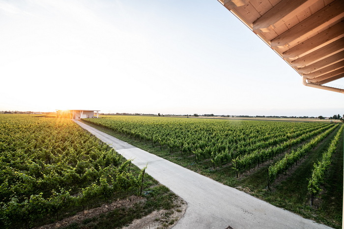 Cantina Ventiventi