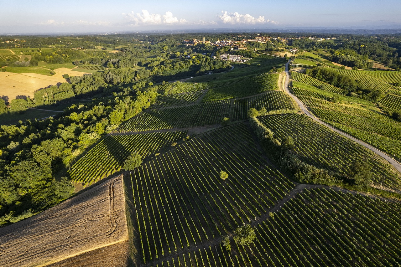 Vigna del Parroco
