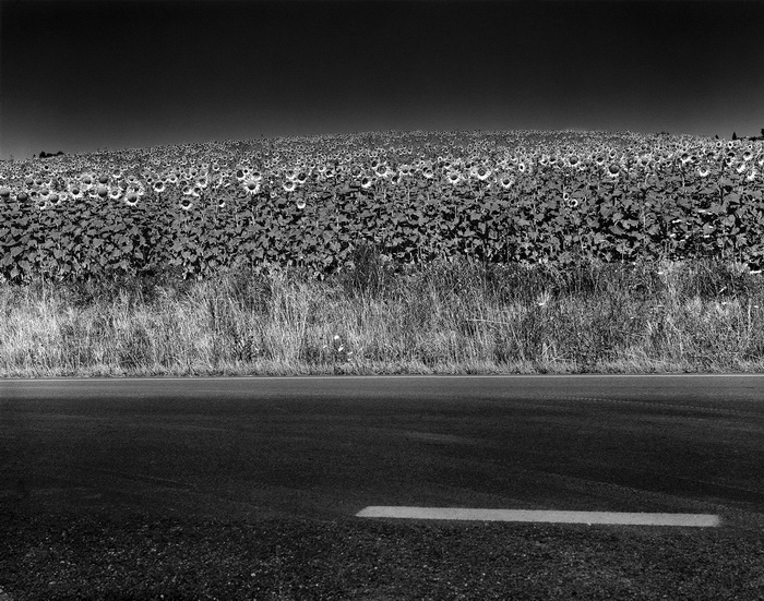 Strada-Fratticiola-Selvatica-Monteverde-©luigispina