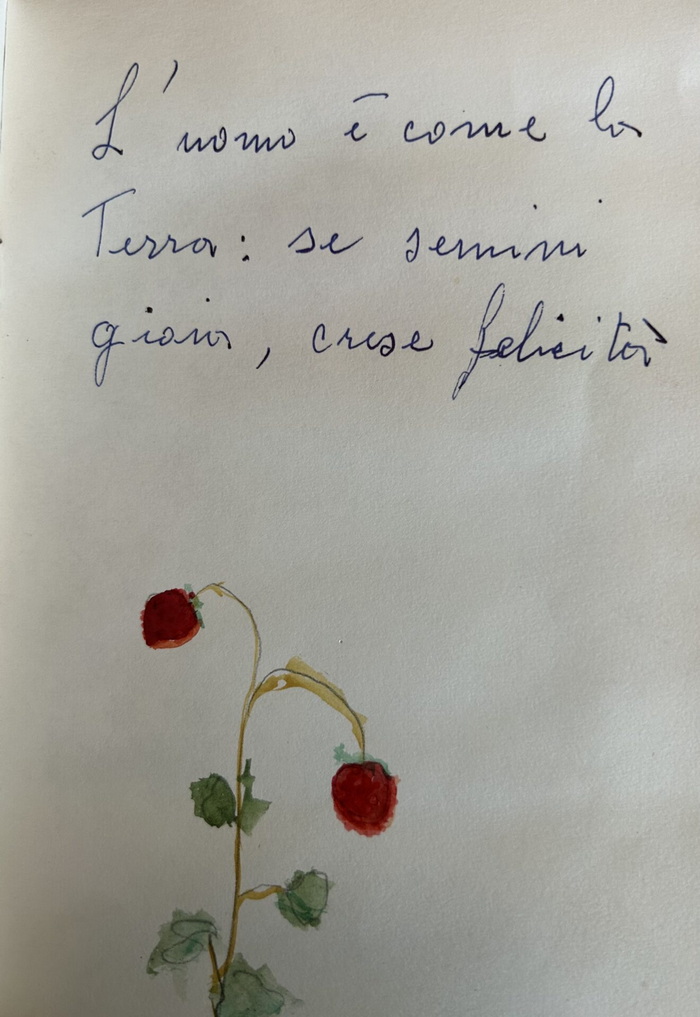 Arturo Vermi, Pagina dal taccuino dell'annologio