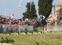 Sciò La Pica a Monterubbiano