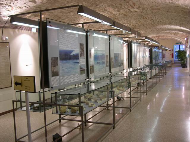 Sala del Museo Civico 