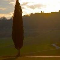 Eno-cicloturismo in Toscana