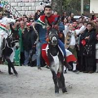 palio dei somari