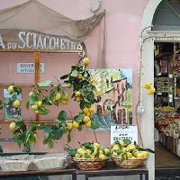 Sagra del Limone