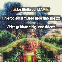 Le Stelle del MAF - Museo Archeologico di Firenze