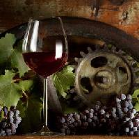 Territori del vino e del gusto