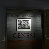 Sebastião Salgado - Genesi
