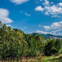 Castel del Giudice - Agricoltura -  Credit Emanuele Scocchera