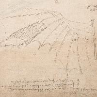 Ala della macchina volante con rivestimento pannicolato a imitazione delle ali di pipistrello
