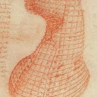 Studio per la fusione del cavallo del monumento a Francesco Sforza: forma di fusione della testa e del collo