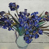 iris (da van gogh) 