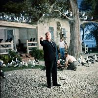 Alfred Hitchcock sul set del film Uccelli ( 1963) Uccelli, 1963 © Universal Pictures