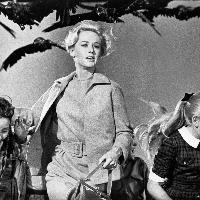 Tippi Hedren nella celebre scena dell’attacco alla scuola negli Uccelli (1963)Uccelli, 1963 © Universal Pictures