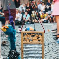 Ferrara Buskers Festival - Strumenti