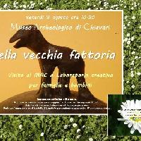 Nella vecchia fattoria