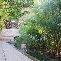 Fonte Aretusa, Siracusa
