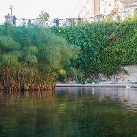 Fonte Aretusa, Siracusa