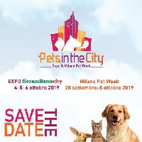 Pets in the city