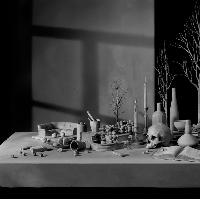 Hans Op De Beeck, Vanitas (1), 2011