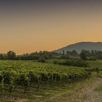 Strada del Franciacorta - Tramonto - Credit Fabio Cattabiani