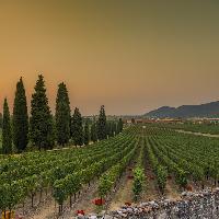 Strada del Franciacorta - Tramonto - Credit Fabio Cattabiani