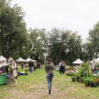 Fiori, saperi e sapori, 2° edizione