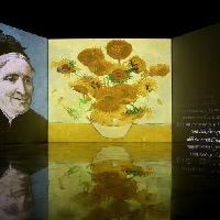 Van Gogh Multimedia & Friends