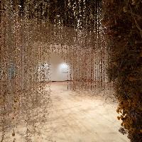 Rebecca Louise Law - The Womb