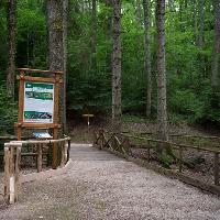 Riserva UNESCO Alto Molise Montedimezzo - Credit Massimo Palmieri