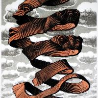 Maurits Cornelis Escher Buccia, 1955
